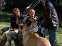 frasier_0802123_025.png